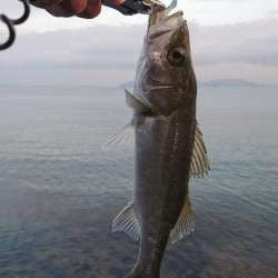 コアマンだけで勝負！