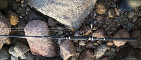 ロックフィッシュ