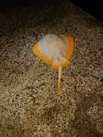 二人で青物狙い☺