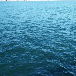 時期がやってきたみたい