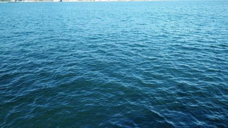 時期がやってきたみたい