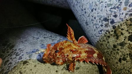 エギンガーからアジンガーへ？