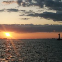 夕方２時間播磨新島キス調査