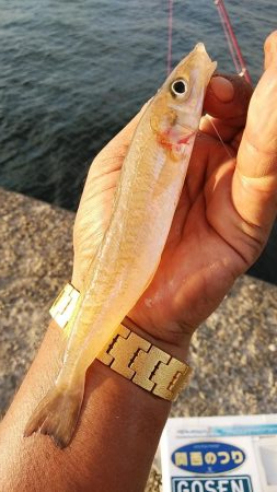 今日も厳しい釣行でした