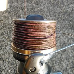 16時から東二見のキス調査