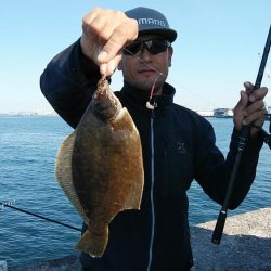 播磨新島のキス釣査