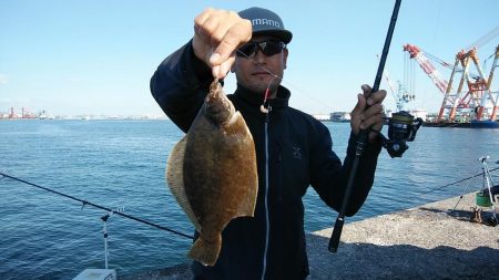 播磨新島のキス釣査