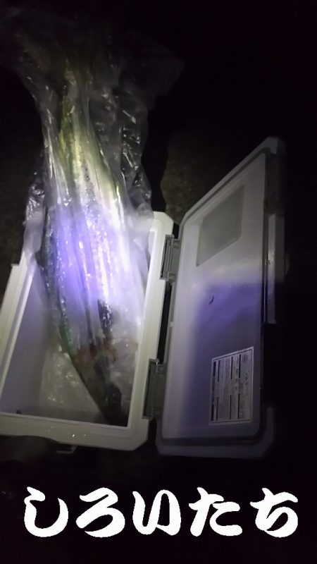 やったー！ルアーで初めて釣れました！