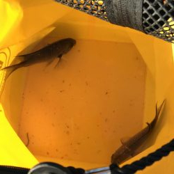 久しぶりの空港