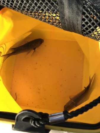 久しぶりの空港