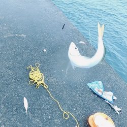 おっきいアジ釣れたよー