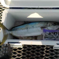 でかっ!めちゃ引いた〜