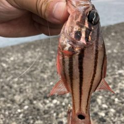 さすが室戸岬！