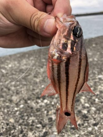 さすが室戸岬！