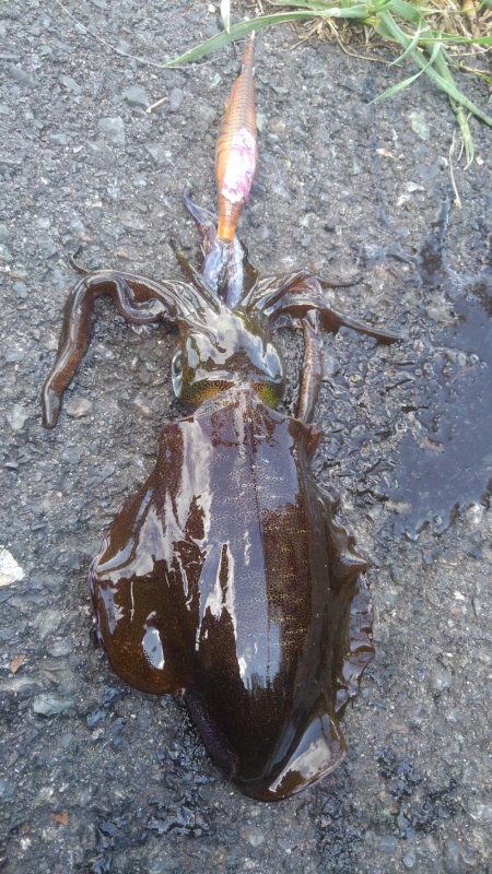 ポイント変えて?