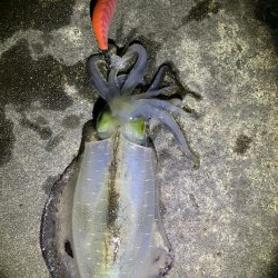 1時間で3杯Get(;｀O´)o/￣￣￣￣￣~ >ﾟ))))彡