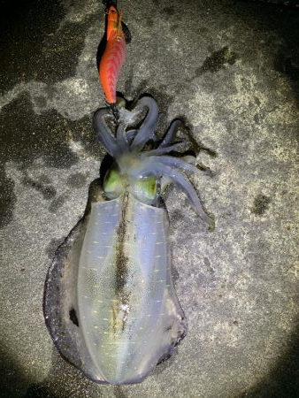 1時間で3杯Get(;｀O´)o/￣￣￣￣￣~ >ﾟ))))彡