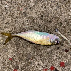 雨の中でも釣り