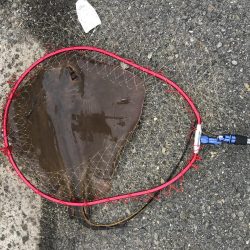 エレベーターで呑ませ