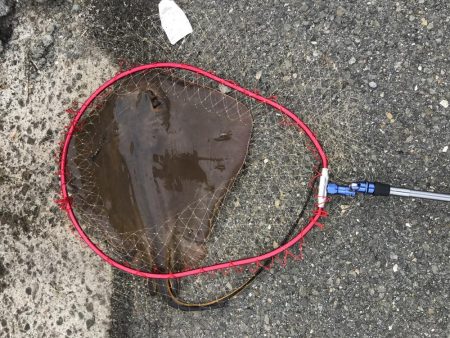 エレベーターで呑ませ