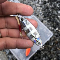 検見川突堤にて