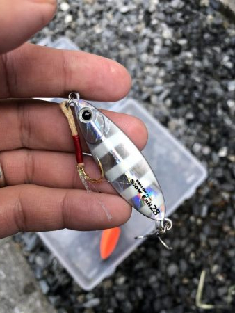 検見川突堤にて