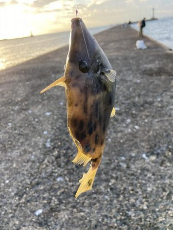 爆風ショアジギング+α