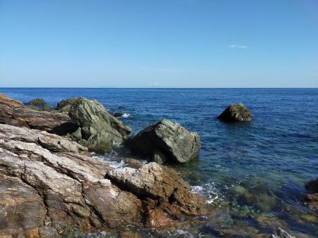 なんとかイカの姿が見れました