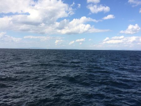 サビキも釣れない