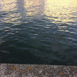 何をやってもダメ