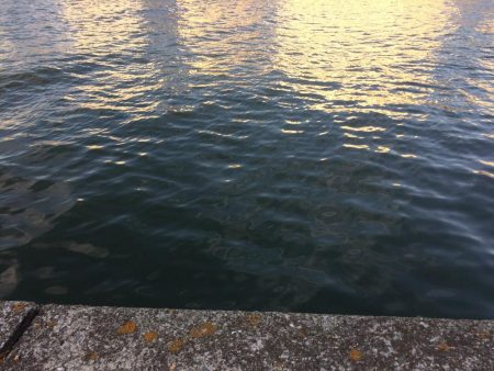 何をやってもダメ