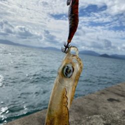 釣り人なら・・・