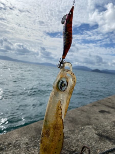 釣り人なら・・・