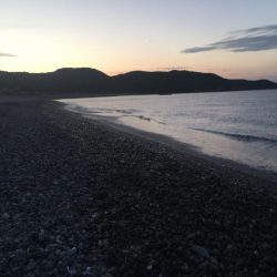 サンノジハゲ、ボラ2匹