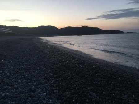 サンノジハゲ、ボラ2匹