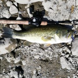 探し求めた一本