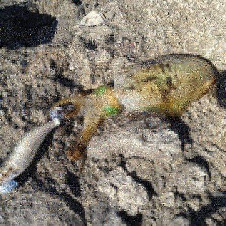 ペンペンとアオリん