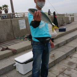 41cmなのでギリハマチということで