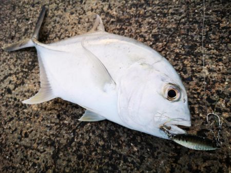 メッキ三種盛り