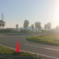 サビキのみの釣果となりました