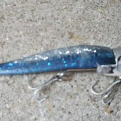 ぶら早朝調査！！