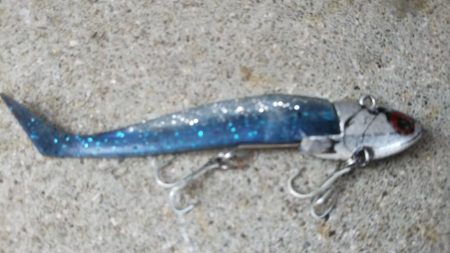 ぶら早朝調査！！