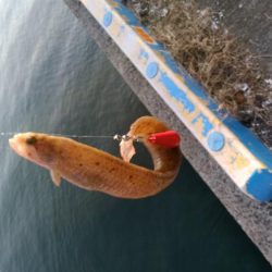 西国回りの序でに