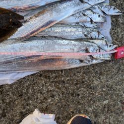 タチウオ夜釣り釣行