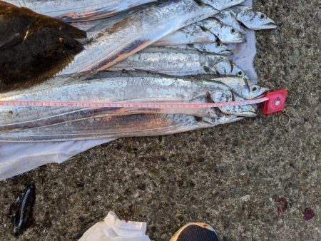 タチウオ夜釣り釣行