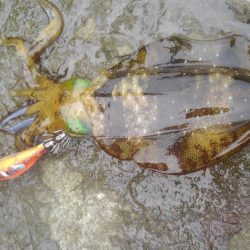 デイ調査～✌️