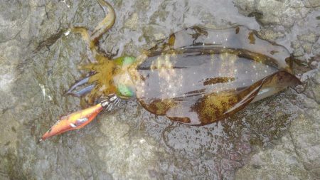 デイ調査～✌️