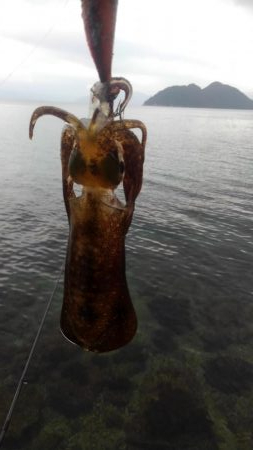 あれれ?厳しい~