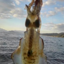 やっと、今秋初300gアップ～✌️