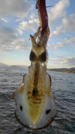 やっと、今秋初300gアップ～✌️